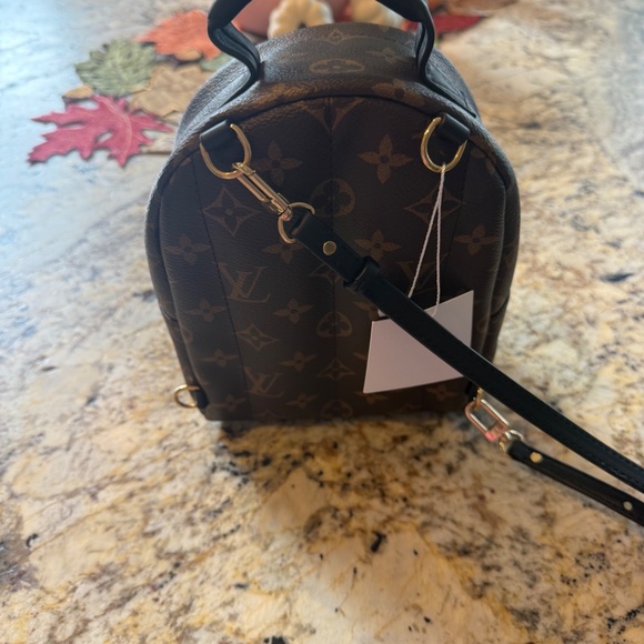 EXCELLENT Louis Vuitton Palm Springs Mini Monogram Backpack - Picture 4 of 8
